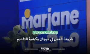 شروط العمل في مرجان وكيفية التقديم على وظائف مرجان