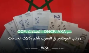 رواتب الموظفين في المغرب بأهم وكالات الخدمات OCP، اتصالات، ONCF، AXA والمزيد